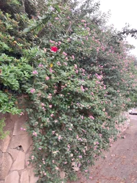 20240430_171100.webp 20240430_171100.webp