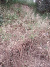 20240430_171206.webp 20240430_171206.webp