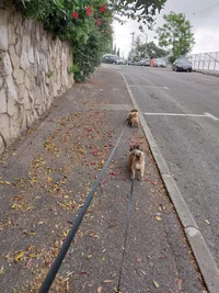 20240430_171044.webp 20240430_171044.webp