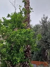 20240430_171700.webp 20240430_171700.webp