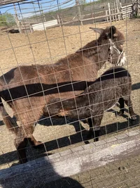 F7E263AC-DE01-4A22-98E8-75C5D79C85AB.webp F7E263AC-DE01-4A22-98E8-75C5D79C85AB.webp