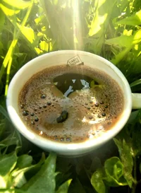 20230518_063934.webp 20230518_063934.webp