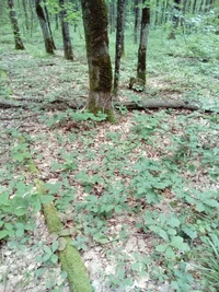 2016-06-14 11-11-10.webp