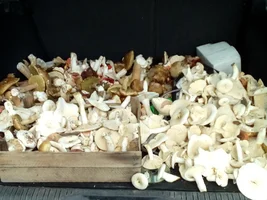 2016-06-14 17-46-26.webp