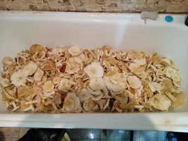 2016-06-15 14-51-51.webp