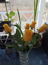 IMG_20240508_201205.webp IMG_20240508_201205.webp