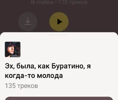 Screenshot_2024-05-11-13-55-16-630_ru.yandex.music-edit.webp