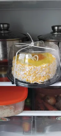 IMG_20240512_182517.webp IMG_20240512_182517.webp