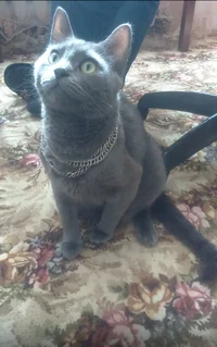 1715952210290.webp 1715952210290.webp