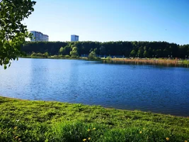 1715953037156.webp 1715953037156.webp