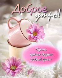 0c69551fdddc189366b4c92ed2d112f8.webp 0c69551fdddc189366b4c92ed2d112f8.webp