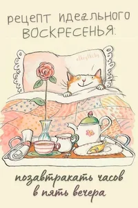 IMG_20240526_183121_492.webp IMG_20240526_183121_492.webp