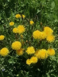 IMG_20240604_115341.webp