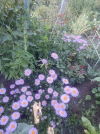 IMG_20240604_192258.jpg