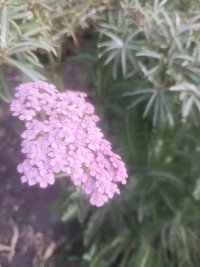 IMG_20240604_192547.jpg