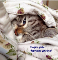 1717646111442.png 1717646111442.png