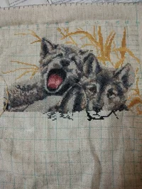 IMG_20240525_191727.webp IMG_20240525_191727.webp