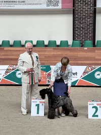 IMG_5926.webp IMG_5926.webp