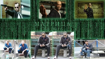 Без имени-1.webp