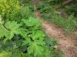 2016-06-19 16-04-48.webp