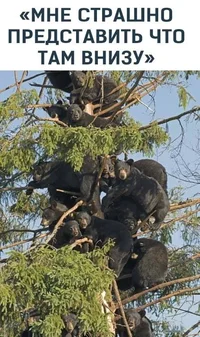 1719399772510.webp 1719399772510.webp