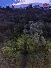 photo_2024-07-04_22-06-31 (2).webp