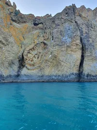 IMG_20240706_210046_520.webp IMG_20240706_210046_520.webp