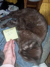 photo_2024-07-10_16-18-08 (3).webp