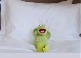 IMG_8006.webp IMG_8006.webp