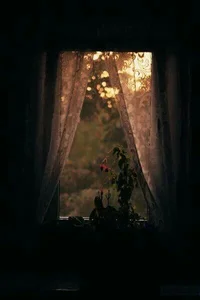 IMG_20240731_075426_538.webp IMG_20240731_075426_538.webp