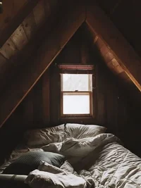 IMG_20240731_075426_813.webp IMG_20240731_075426_813.webp