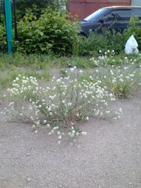 IMG_20160620_200646_1.webp IMG_20160620_200646_1.webp