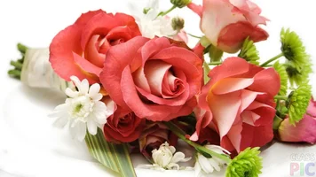 lovely-rose-1024x576.webp