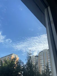 B59573E3-A181-4E84-A720-3E3886CDFC9E.webp B59573E3-A181-4E84-A720-3E3886CDFC9E.webp