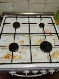 Изображение WhatsApp 2024-08-15 в 08.47.16_55cbd905.webp