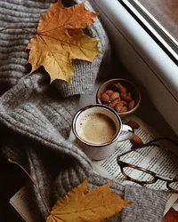 IMG_20240903_144849_667.webp