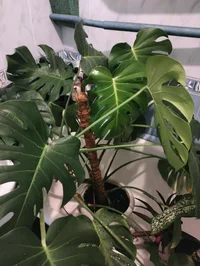 IMG20240924122802.jpg IMG20240924122802.jpg