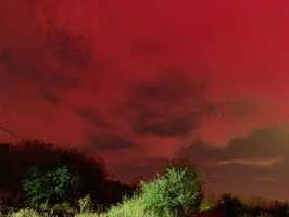 IMG_20241011_010904_890.webp