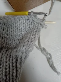 IMG_20241013_155728.webp IMG_20241013_155728.webp