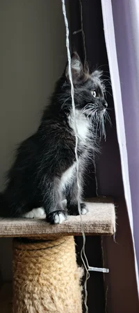 IMG_20241013_092506_390@1835991802.webp IMG_20241013_092506_390@1835991802.webp