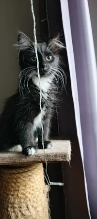 IMG_20241013_092503_708@1968161132.webp IMG_20241013_092503_708@1968161132.webp