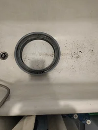 IMG20241015140035.webp IMG20241015140035.webp