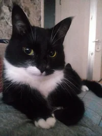 IMG20210928084123.jpg IMG20210928084123.jpg