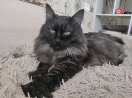 IMG20240523143923.webp IMG20240523143923.webp