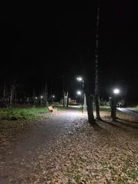 IMG_20241028_200813.webp IMG_20241028_200813.webp