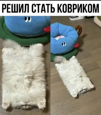 Screenshot_2024-11-03-08-15-37-16_68e74cc0265513bba3f4cf8e2c9891fe.webp Screenshot_2024-11-03-08-15-37-16_68e74cc0265513bba3f4cf8e2c9891fe.webp