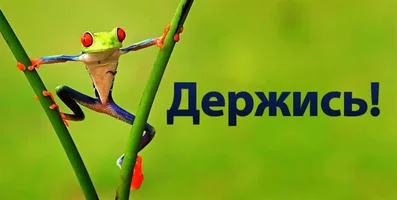 uKwE90Bv6Sc.webp uKwE90Bv6Sc.webp