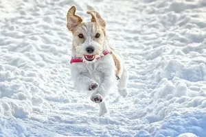 1731697046861.webp 1731697046861.webp