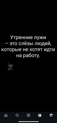 IMG_20241102_233452_581.webp
