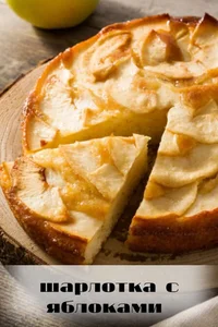 12bd1bbde31492870a32b8a19892ed5e.webp 12bd1bbde31492870a32b8a19892ed5e.webp